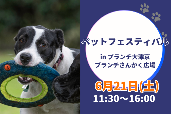 ドッグフェスタ in ブランチ大津京　