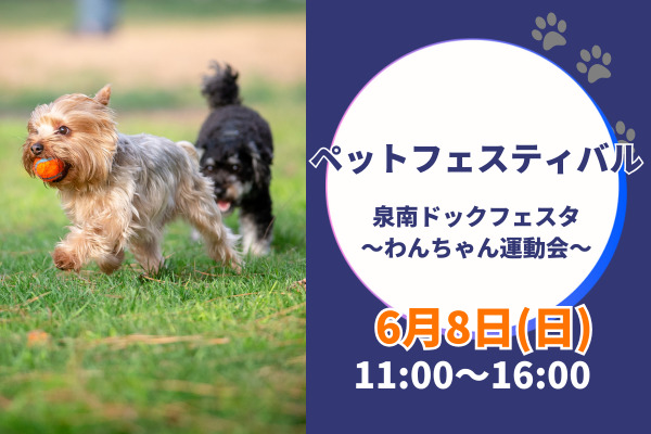 泉南ドッグフェスタ　〜わんちゃん運動会〜